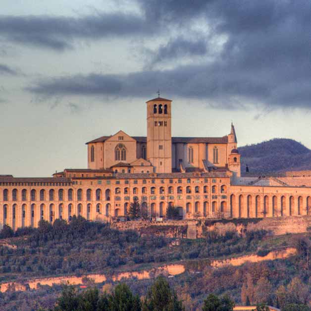 assisi assisi